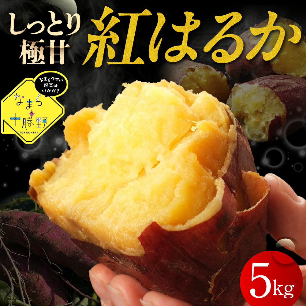 【ふるさと納税】なまら十勝野 芽室町産 さつまいも【紅はるか】5kg 国産 北海道産 さつま芋 野菜 常温配送 送料無料 北海道 十勝 芽室町【12月以降発送】