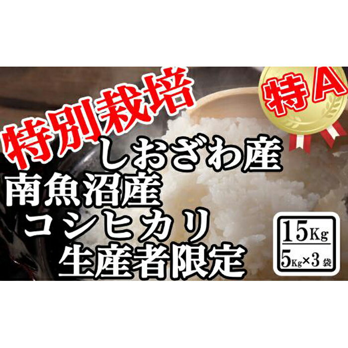 【ふるさと納税】【令和7年産】米 コシヒカリ 南魚沼しおざわ産 15kg ( 5kg × 3袋 ) 特別栽培【2025年10月上旬より順次発送予定】 | お米 こめ 白米 コシヒカリ 食品 人気 おすすめ 送料無料 魚沼 南魚沼 南魚沼市 新潟県産 新潟県