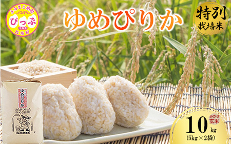 令和7年産 特別栽培米 ゆめぴりか みがき玄米 10kg（5kg×2）【西間農園】玄米 お米 米 北海道産 北海道米 特Aランク 国産 コメ JGAP認証農場 北海道 比布町 ぴっぷ 1005-052
