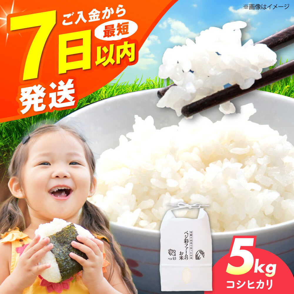 【ふるさと納税】令和6年産 お米 5キロ コシヒカリ スピード発送 こしひかり 米 お米 白米 ライス ごはん ご飯 人気 ふっくら もちもち おいしい 精米 国産 大阪産 高槻市 産地直送 おすすめ コメ おこめ 大阪 高槻 ふるさと納税 大阪府高槻市/ベジ彩ファーム[AOEJ012]