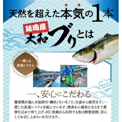 ふるさと納税 延岡市 贅沢お造りセット |  | 01