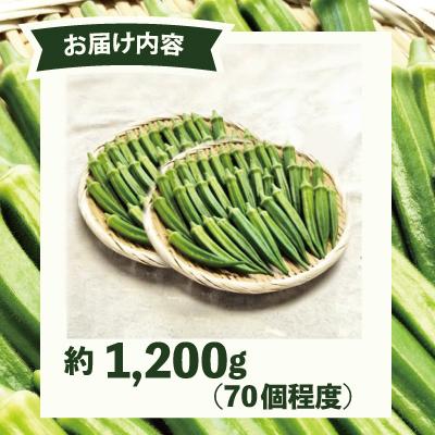 ふるさと納税 大館市 トロッとおいしいオクラ<約1200g> |  | 02