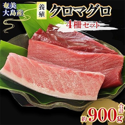 奄美大島産養殖クロマグロ(4柵セット)【配送不可地域：離島】【1402681】
