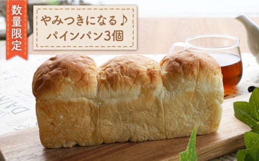 【数量限定】長崎といえば！パインパン＜岡崎製パン所＞ [CEP021]