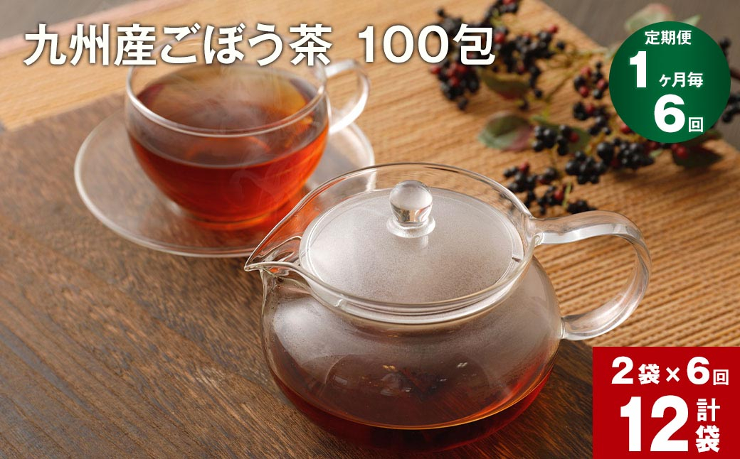 【1ヶ月毎6回定期便】九州産ごぼう茶 100包 計12袋（2袋×6回）