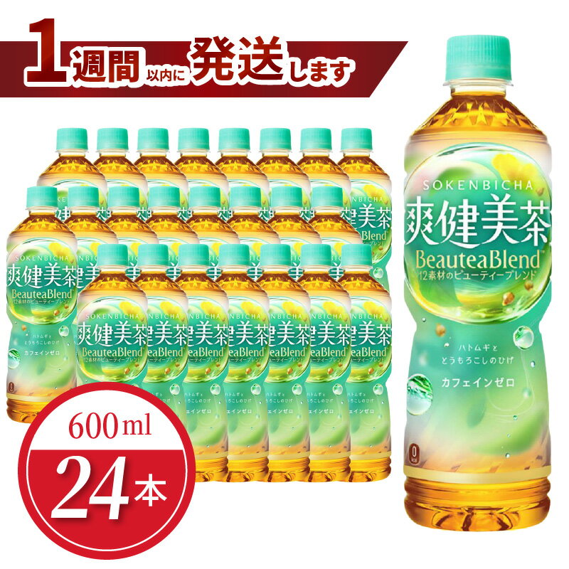 【ふるさと納税】爽健美茶 PET 600ml 24本入 1ケース ノンカフェイン ペットボトル 飲料 ドリンク お茶 ブレンド茶 植物の恵み アレルギー特定原材料等28品目不使用 コカ・コーラ 水分補給 常備 備蓄 保存 リサイクル 人気 おすすめ お取り寄せ 買い置き 送料無料