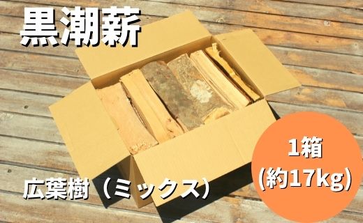 24-265．【数量限定】薪ストーブやアウトドアに！黒潮薪本舗の黒潮薪1箱（合計 約17kg）【発送期間：2024年8月～2025年3月31日まで】