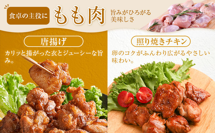 鹿児島県産 鶏肉 もも肉 250g × 4パック 計1kg 《7-14日以内に出荷予定(土日祝除く)》鹿児島県 さつま町 鶏 鳥 もも 肉