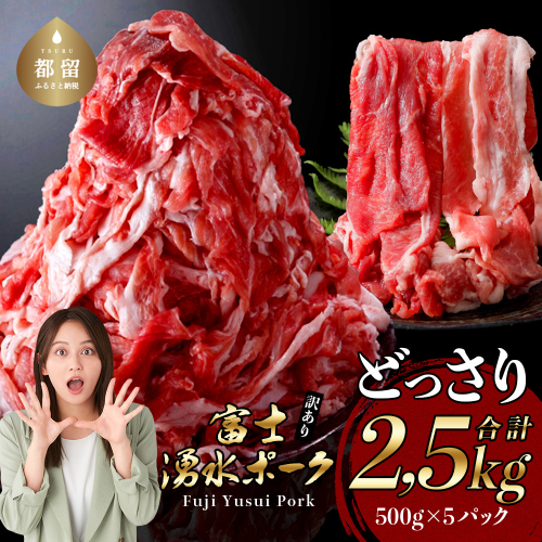 【9/1申し込みより冷凍発送】　訳あり！富士湧水ポークの切り落とし　２.５kg  幻の銘柄豚 富士湧水ポーク 　豚肉　切り落とし　ひき肉　挽肉　国産豚　小分け　炒め物　不揃い　訳アリ　わけあり 訳あり