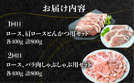 《定期便》全4回 白川郷 結旨豚 食べ比べ とんかつ しゃぶしゃぶ ブロック 切り落とし 食べ比べ バラ肉 ロース、肩ロース 豚肉 国産 白川村 真空パック 小分け 角煮 焼肉 ブランド豚 ゆいうまぶ