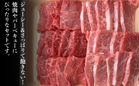 博多和牛 牛肉  焼肉 バラ＆モモ 500g ＜肉のくまもと屋＞ 那珂川市 牛肉 肉 黒毛和牛 ブランド牛 国産  BBQ バーベキュー 九州産 バラ肉 もも肉 BBQ 14000 14000円 [G