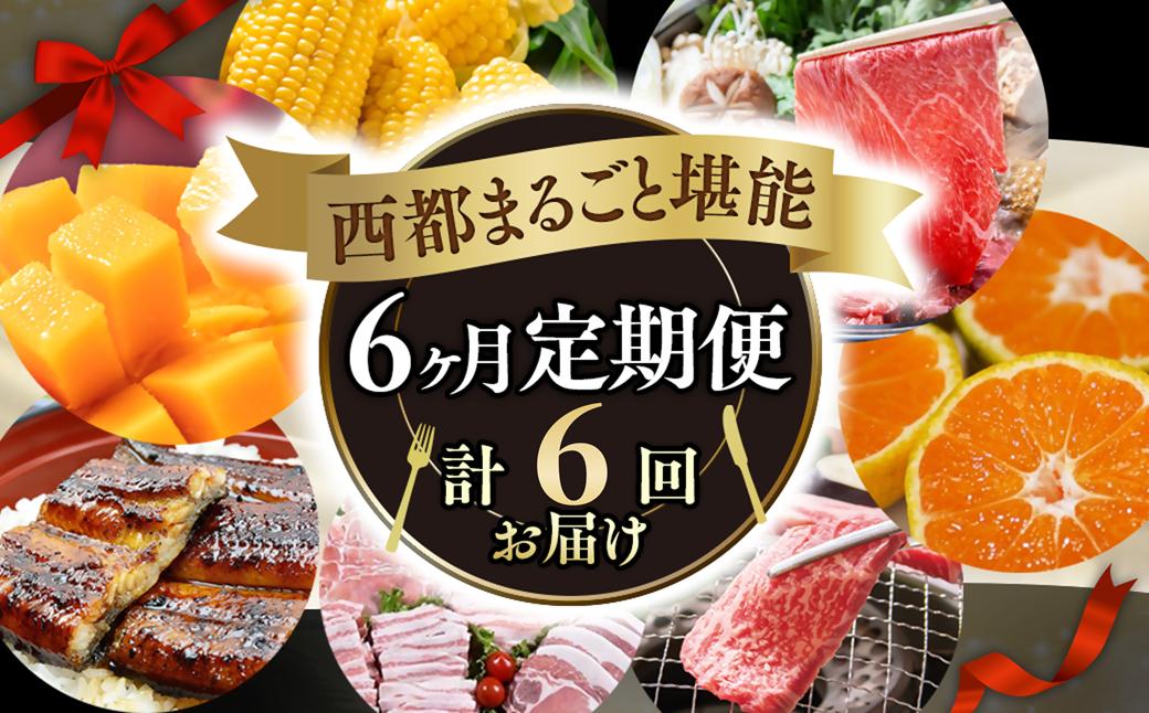 
                  【季節の定期便・お楽しみコース】6ヶ月届く 西都堪能セット6品お届け！  宮崎牛・うなぎ・苺・スイートコーン・ 地鶏・チキン南蛮・マンゴー 先行予約 2027年発送 宮崎完熟マンゴー 果物 フルーツ バラエティー＜1-1a＞
                