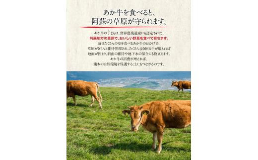 【希少和牛】あか牛ハンバーグ 150g10個 計1500g セット《90日以内に出荷予定(土日祝除く)》 KAM Brewing---so_fkamhghb_90d_22_13500_1500g---