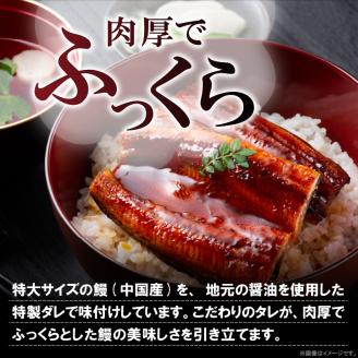 うなぎの蒲焼ビッグサイズ　2尾（計600g前後）K04705