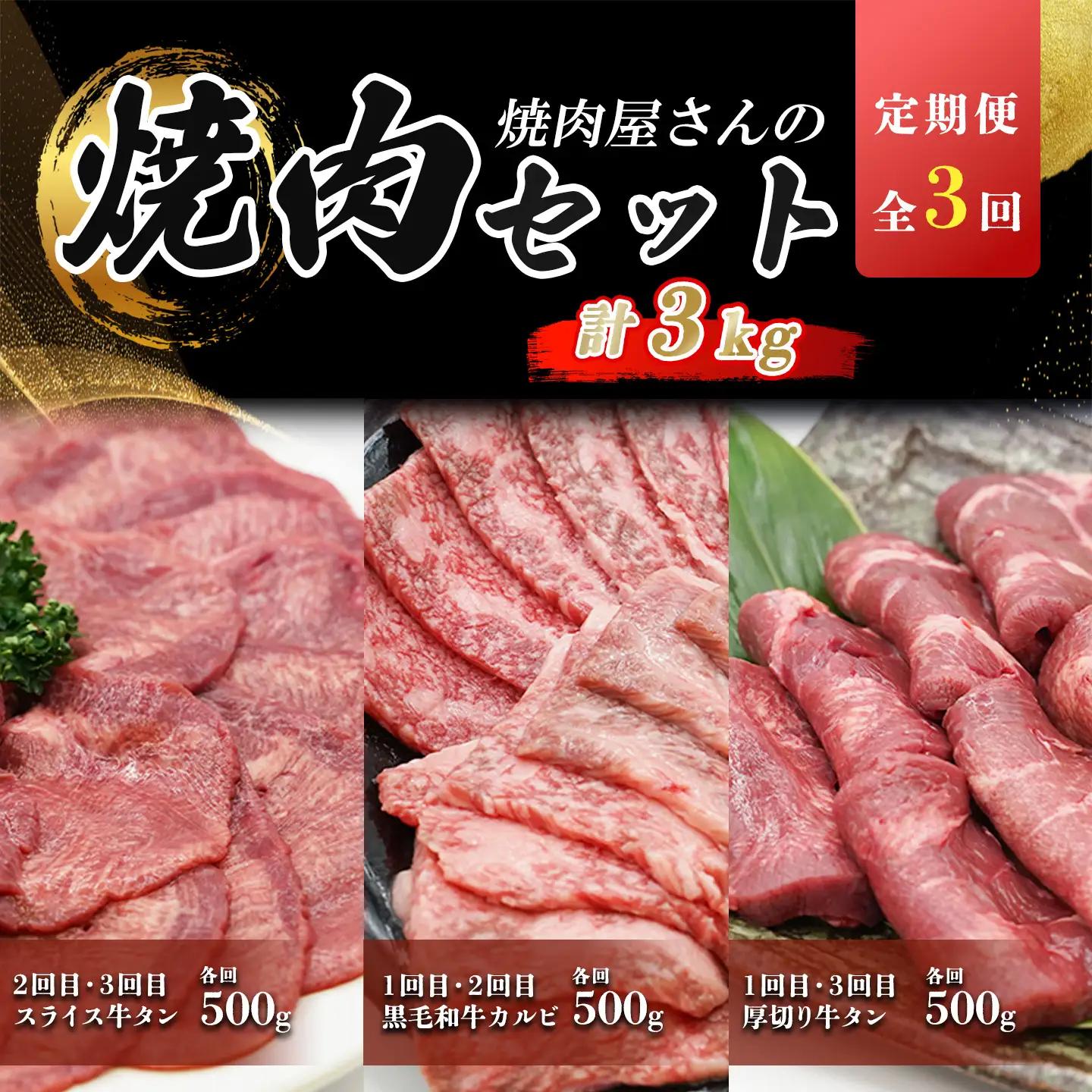 定期便 全3回 牛肉 焼肉セット 計3kg