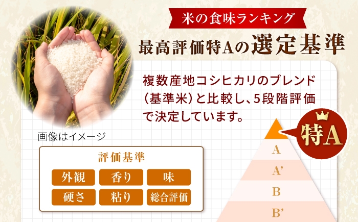 精米 お米 米 北海道 北海道米 白米 ご飯 こめ コメ ライス