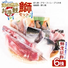 長島海の恵み 鰤セット (6種) 刺身  塩焼き 冷凍 真空パック -R