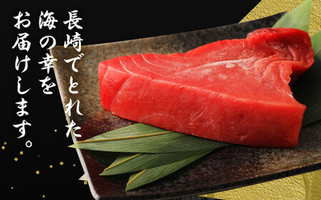 【3ヶ月定期便】長崎県産 本マグロ 赤身 300g 2人前～3人前 鮪 魚 刺身  【大村湾漁業協同組合】