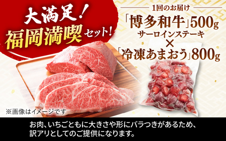 【全6回定期便】【訳あり】博多和牛 サーロインステーキ ＆ あまおう セット1.3kg   桂川町/株式会社 MEAT PLUS[ADAQ067]