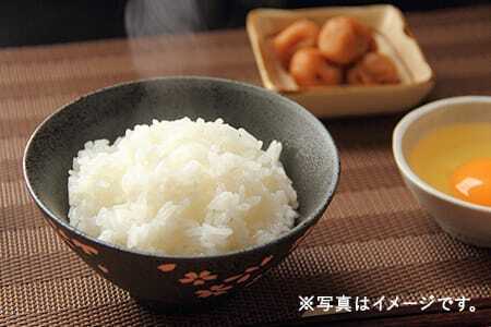 令和7年度 新米 ゆうだい21 白米 5㎏ (25-035)