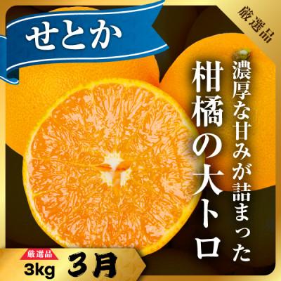 ふるさと納税 八幡浜市 【発送月固定定期便】美味しい柑橘【まどんな・せとか・ニューサマーオレンジ】【G31-45】全3回 |  | 03