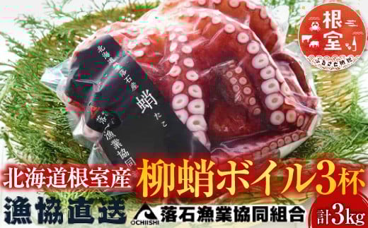 
            F-20010 【北海道根室産】柳蛸ボイル3杯(計3kg)
          