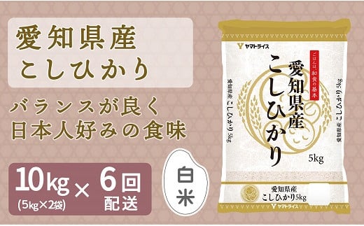 
            愛知県産コシヒカリ 10kg(5kg×2袋)　※定期便6回　こめ コメ ごはん 安心安全なヤマトライス 米 白米 国産 精米 10キロ　H074-698
          