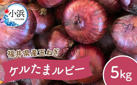 【 先行予約 / 7月上旬より発送】 福井県産 玉ねぎ ケルたまルビー 5kg / 野菜 やさい タマネギ たまねぎ / 小浜市 / 今富の宝 [BFCI002] 