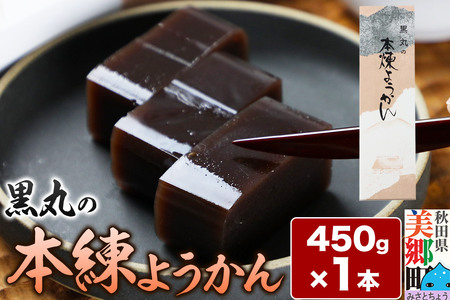 本練ようかん 450g×1本 ＜ゆうパケット＞
