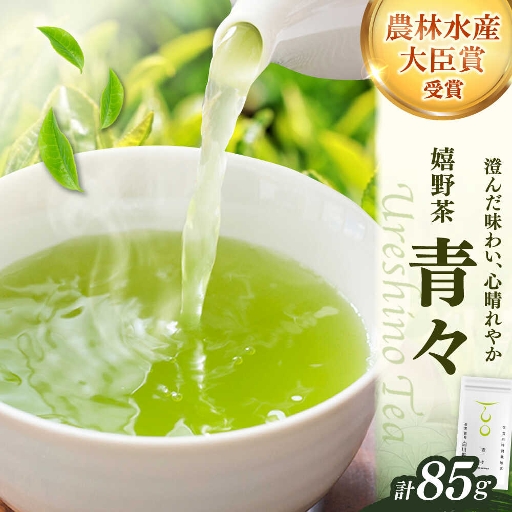 【ふるさと納税】嬉野茶「青々」1袋 / お茶 日本茶 嬉野茶 緑茶 / 佐賀県 / 白川製茶園 [41AIAB017]