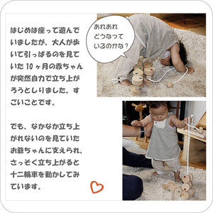 歩き始めの木のおもちゃ「十二輪車（ロングタイプ）」