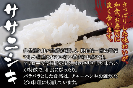 《定期便6ヶ月》【令和7年産・玄米】宮城県産 ササニシキ 毎月5kg (5kg×1袋)×6ヶ月
