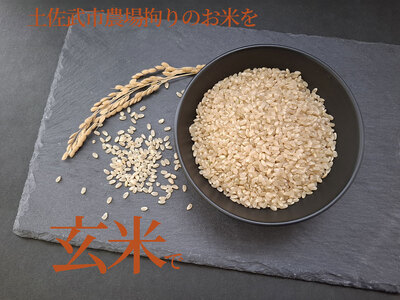 特別栽培米 栽培期間中農薬不使用 【3回お米定期便】玄米 コシヒカリ 数量限定 5キロ