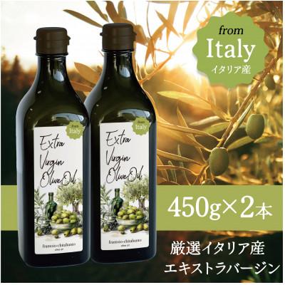 ふるさと納税 半田市 厳選イタリア産エキストラバージンオリーブオイル450g×2本