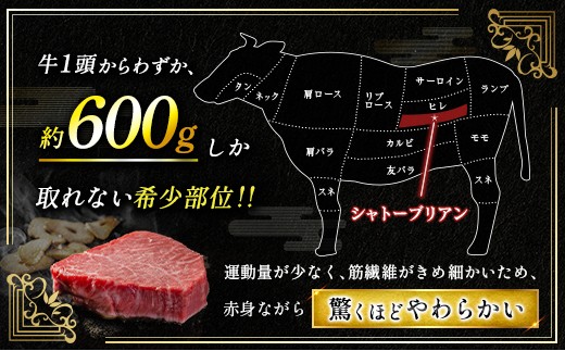 ＜宮崎牛ネック・チマキ（すね）煮込み用800g＞