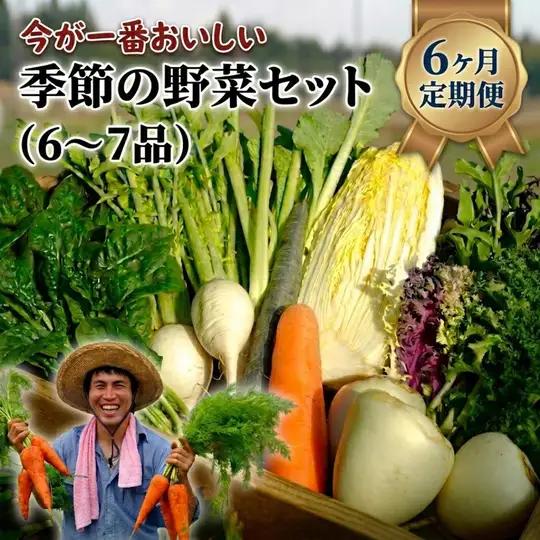 【定期便6回】季節の野菜セット（6～7品）