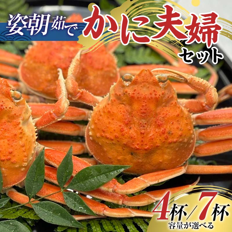 【ふるさと納税】＼容量が選べる／【先行予約】【冷蔵発送】姿朝茹でかに夫婦セット（加能ガニ・香箱ガニ） 蟹 カニ かに ずわい 石川 加賀 F6P-2484var