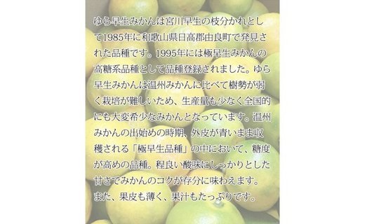 G7097_【2025年先行予約】紀州和歌山有田産 ゆら早生みかん 5kg