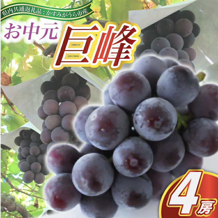 【ふるさと納税】お中元　巨峰4房(県内共通返礼品:かすみがうら市産)【配送不可地域：離島・沖縄県】 (BR091)