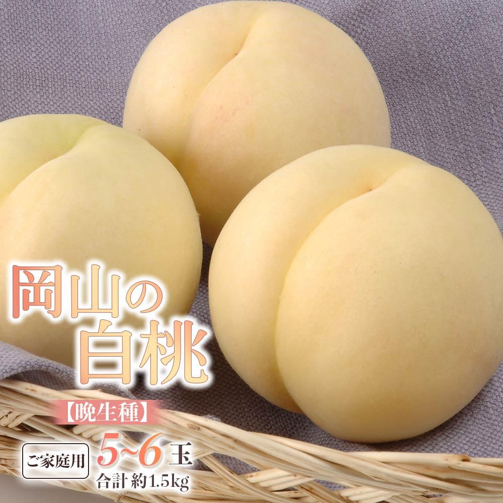 【ふるさと納税】桃 2025年 先行予約 ご家庭用 白桃（晩生種） 5～6玉 合計約1.5kg もも モモ 岡山県産 国産 フルーツ 果物 ギフト | もも フルーツ 果物 くだもの 食品 人気 おすすめ 送料無料