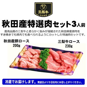秋田産特選肉セット 3人前【肉の高長】[B7-1601]