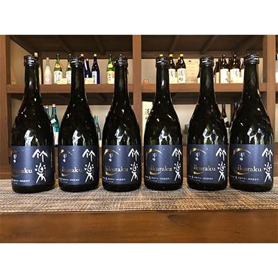 ふるさと納税 竹田市 麦焼酎 豊後の清明 「竹楽」 25度 720ml×6本