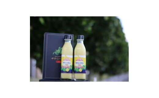 ヤマ・シークニン果汁300ml×2本セット