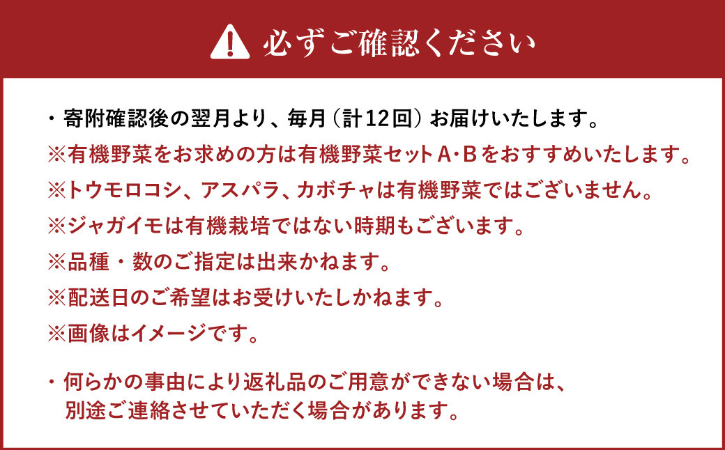 【12ヶ月定期便】おまかせ旬野菜セット