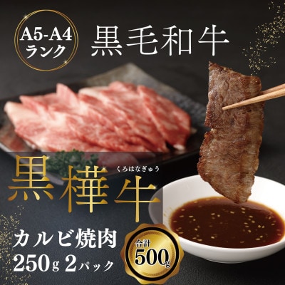 A4 A5等級 カルビ 500g(250g×2P)九州産黒毛和牛 【杉本本店】(宇城市)【配送不可地域：離島】【1544174】