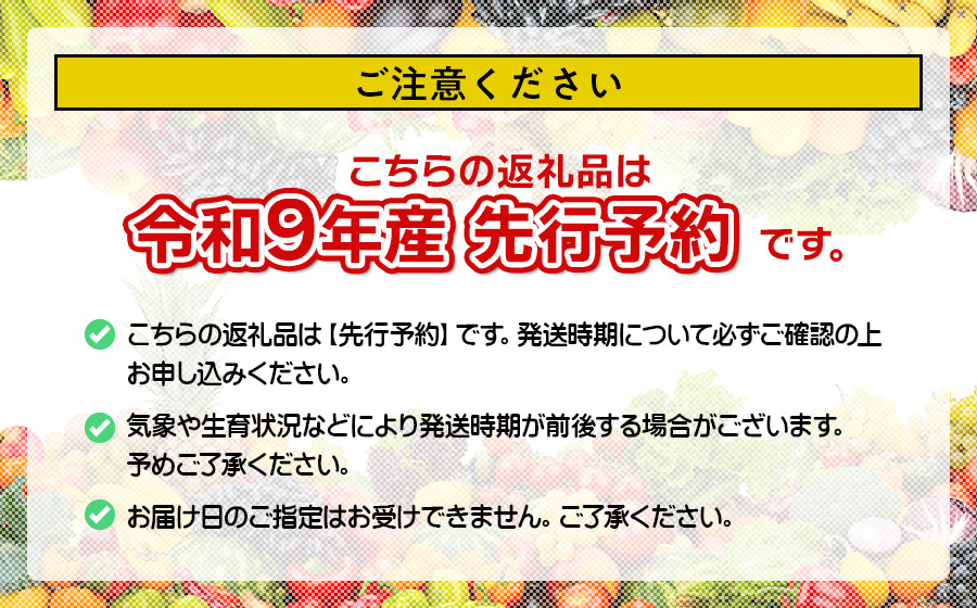 【令和9年産先行予約】 鶴岡市産 紅さやか M～Lサイズ混合 バラ詰め800g (200g×4)　【五十嵐 茂也】