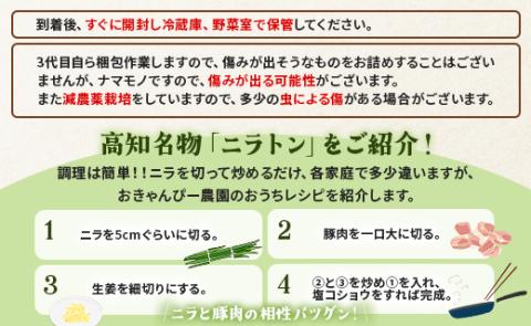 6ヶ月定期便 香南市産 ニラ 合計約12kg（2kg×6回）- にら 韮 香味野菜 やさい 葉物 新鮮 生 料理 もつ鍋 餃子 饅頭 キムチ チヂミ 炒め物 おひたし 国産 肉厚 Won-0018