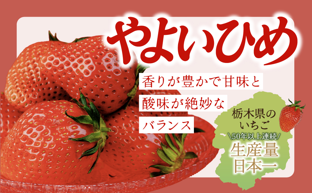 【先行受付：1月以降発送】いちご 鈴木ファームの完熟＆朝摘み やよいひめ レギュラーサイズ 約270g × 4パック 合計 約1080g | いちご イチゴ 苺 やよいひめ 甘い あまい 完熟 果物 