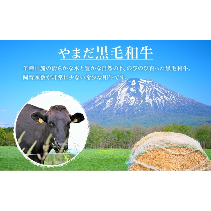 北海道 倶知安町 やまだ黒毛和牛 計400g すき焼き 用 ウデ モモ バラ ミックス 200g×2 黒毛和牛 国産牛 お取り寄せ ご褒美 和牛 すきやき A4ランク 羊蹄山 送料無料 冷凍 ニセコフ