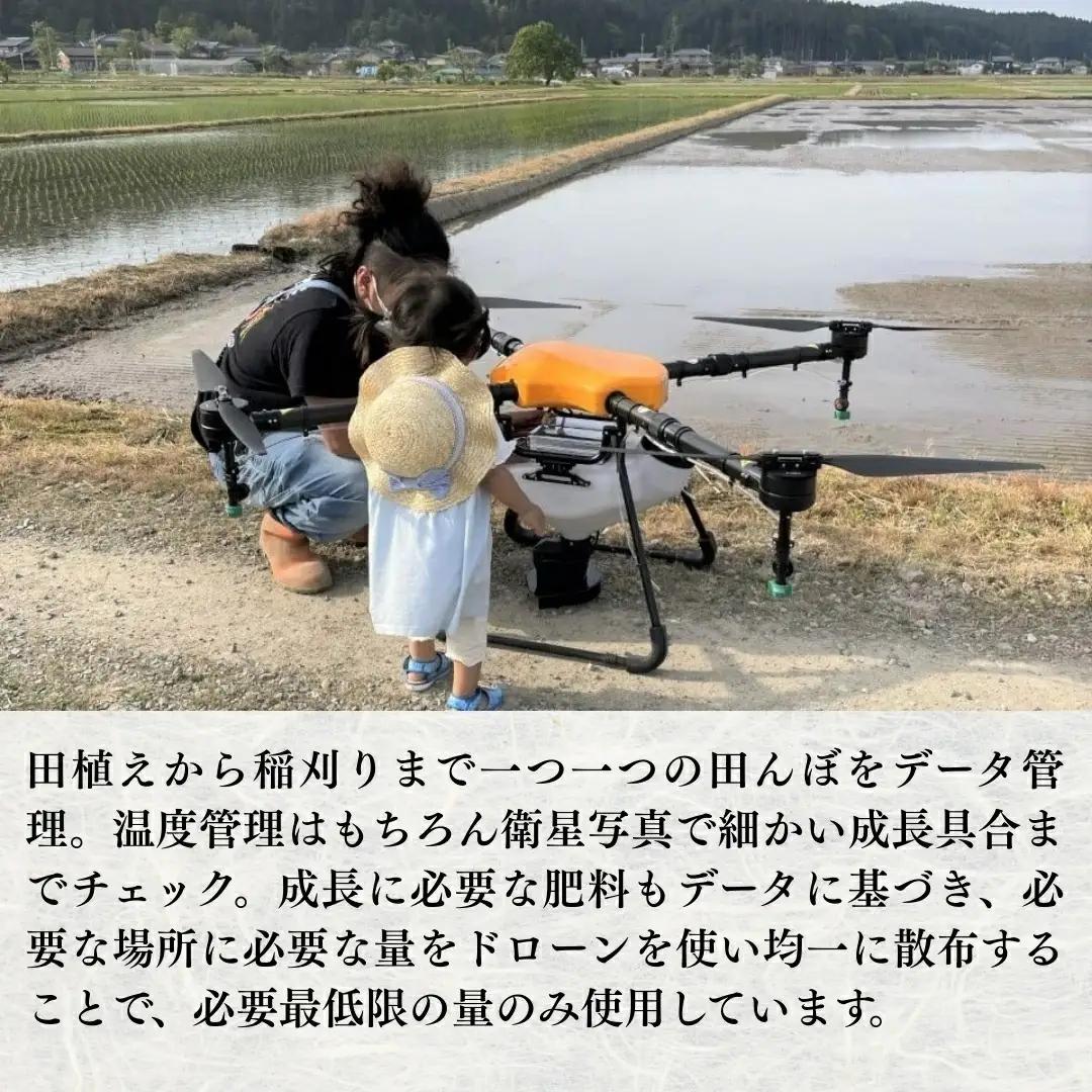 【令和7年産】新潟県産コシヒカリ 精米 5kg 五泉市産 | 白米 米 こしひかり